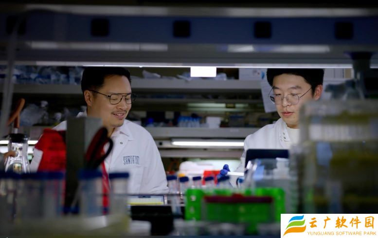 新型生物传感器问世：使用手机即可检测皮质醇水平，比医院检测还准