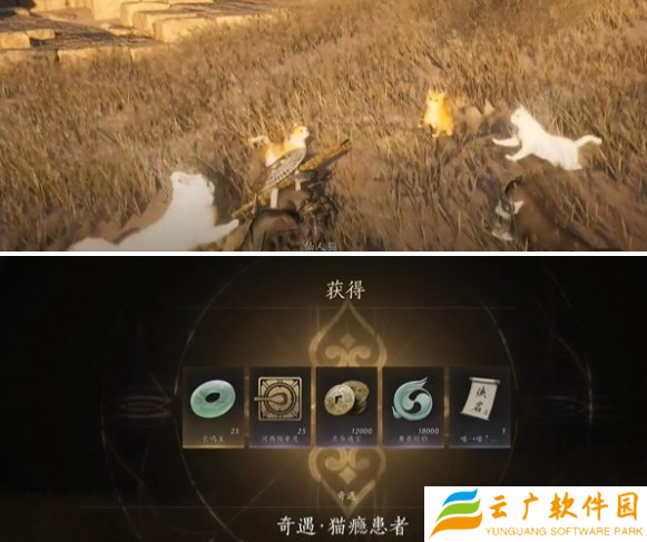 燕云十六声猫瘾患者奇遇怎么做