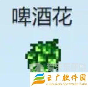 星露谷物语什么酒最赚钱 星露谷物语酒类价格排行