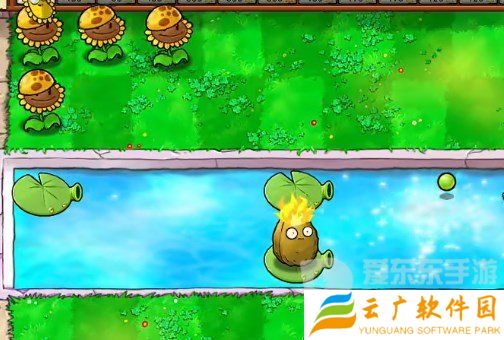 植物大战僵尸杂交版挑战模式第19关怎么过 第19关完美布局攻略