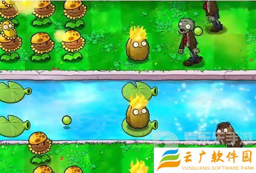 植物大战僵尸杂交版挑战模式第19关怎么过 第19关完美布局攻略