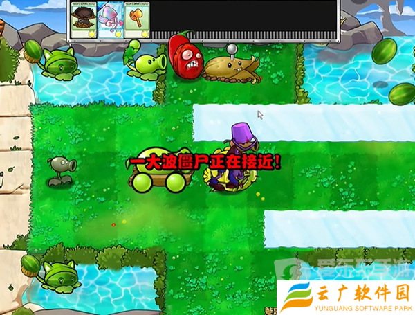 植物大战僵尸杂交版魅惑毁灭菇3怎么玩 魅惑毁灭菇3通关流程