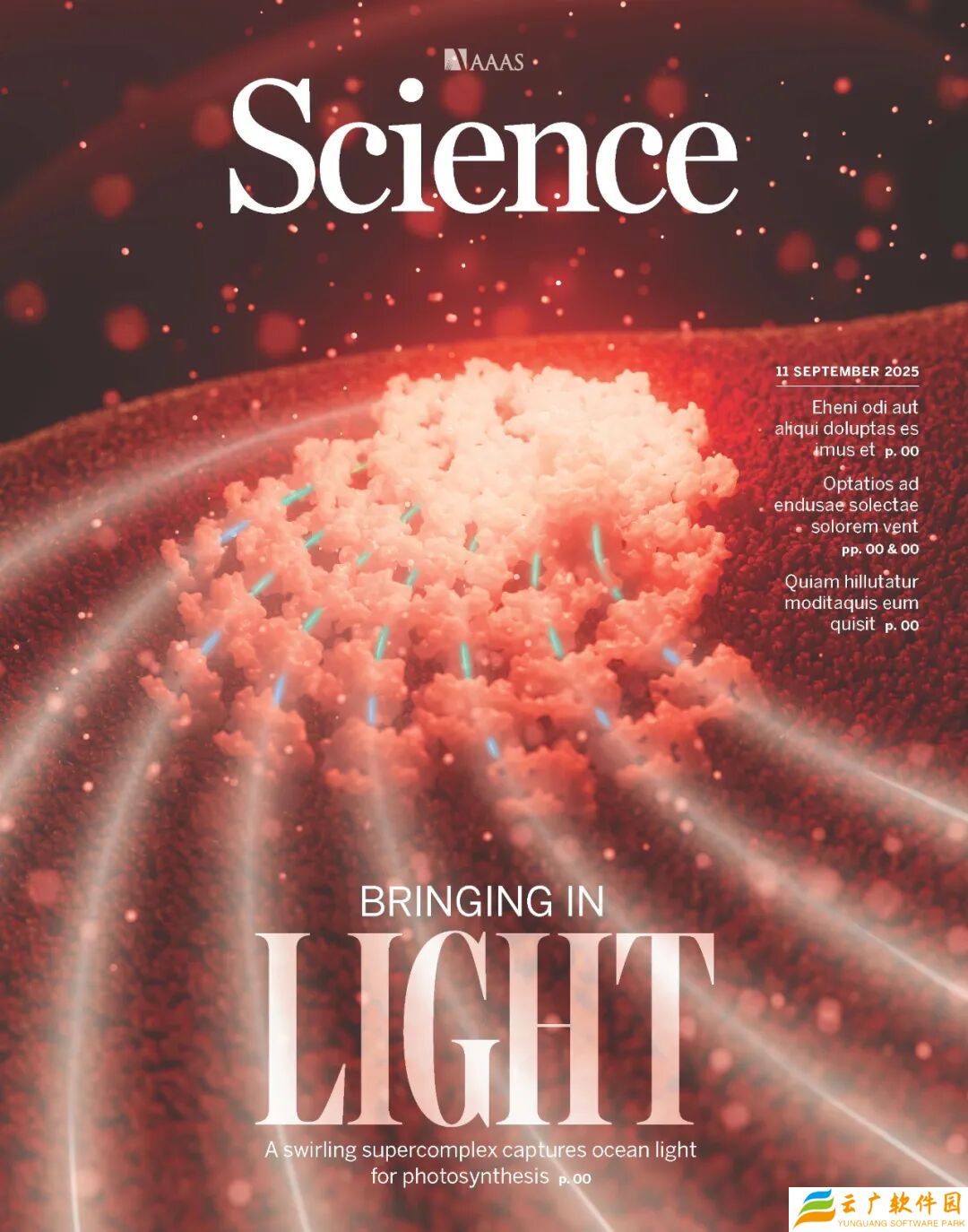 登上 Science 封面：我国科学家首次揭开颗石藻高效捕获光能奥秘，有望设计出新型光合作用蛋白