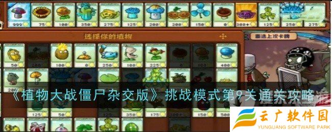 植物大战僵尸杂交版挑战模式第9关怎么过 挑战模式第9关通关方法
