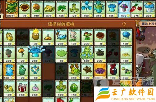 植物大战僵尸杂交版挑战模式第16关怎么过 第16关图文通关流程