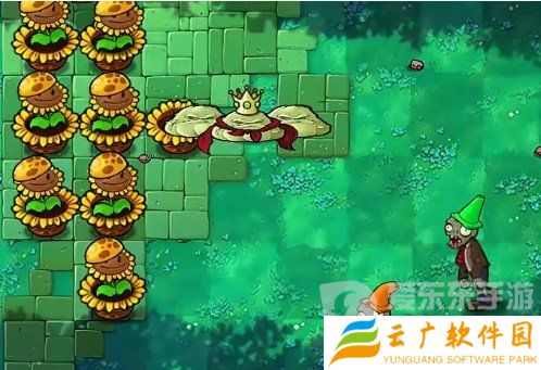 植物大战僵尸杂交版挑战模式第16关怎么过 第16关图文通关流程