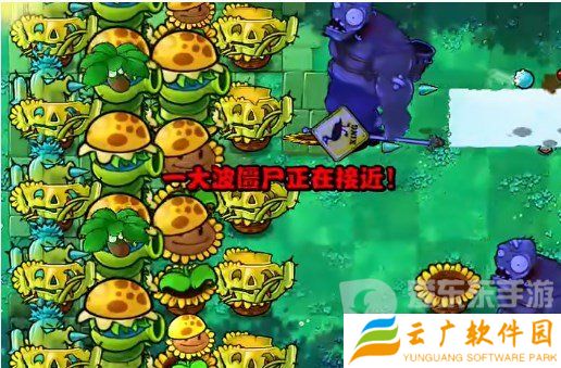 植物大战僵尸杂交版挑战模式第16关怎么过 第16关图文通关流程