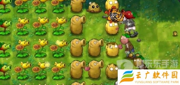 植物大战僵尸融合版冒险模式第5关怎么过 冒险模式第5关通关攻略