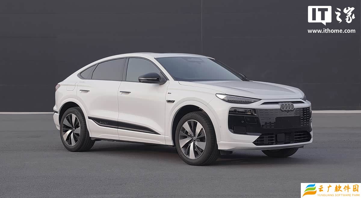奥迪 Q6L e-tron / Sportback e-tron 双电机四驱版申报