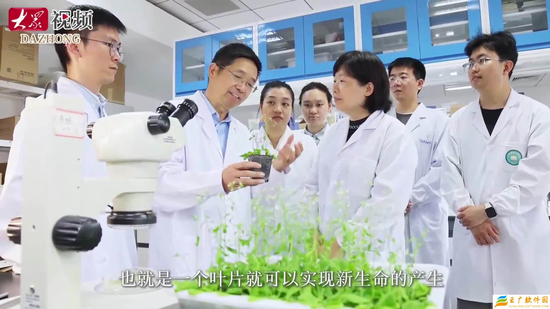 中国团队解锁世纪难题，全球首次揭秘单个体细胞“变成”完整植株